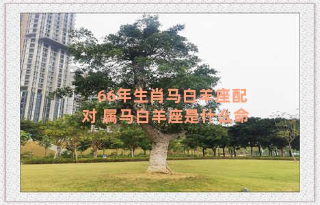 66年生肖马白羊座配对 属马白羊座是什么命